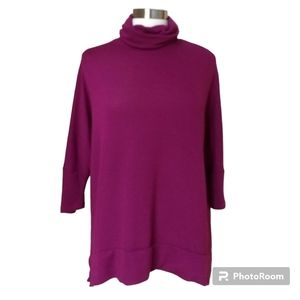 Madison & Berkeley Oversized Sweater Hi-Lo Hem NORDSTROM Turtleneck Tunic